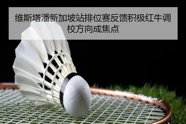 维斯塔潘新加坡站排位赛反馈积极红牛调校方向成焦点
